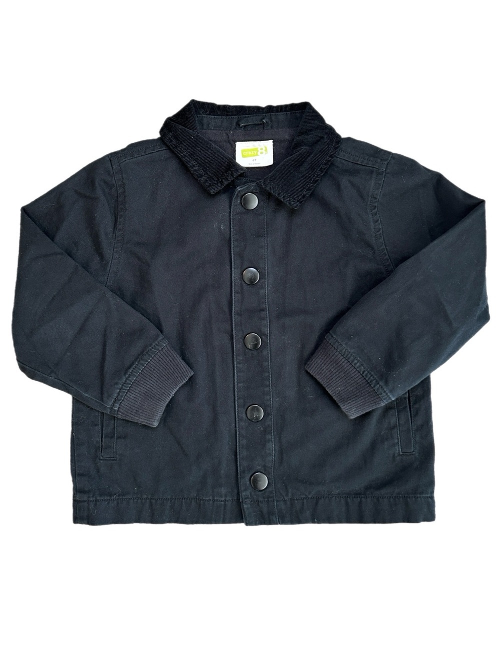 Crazy 8 Toddler Jacket